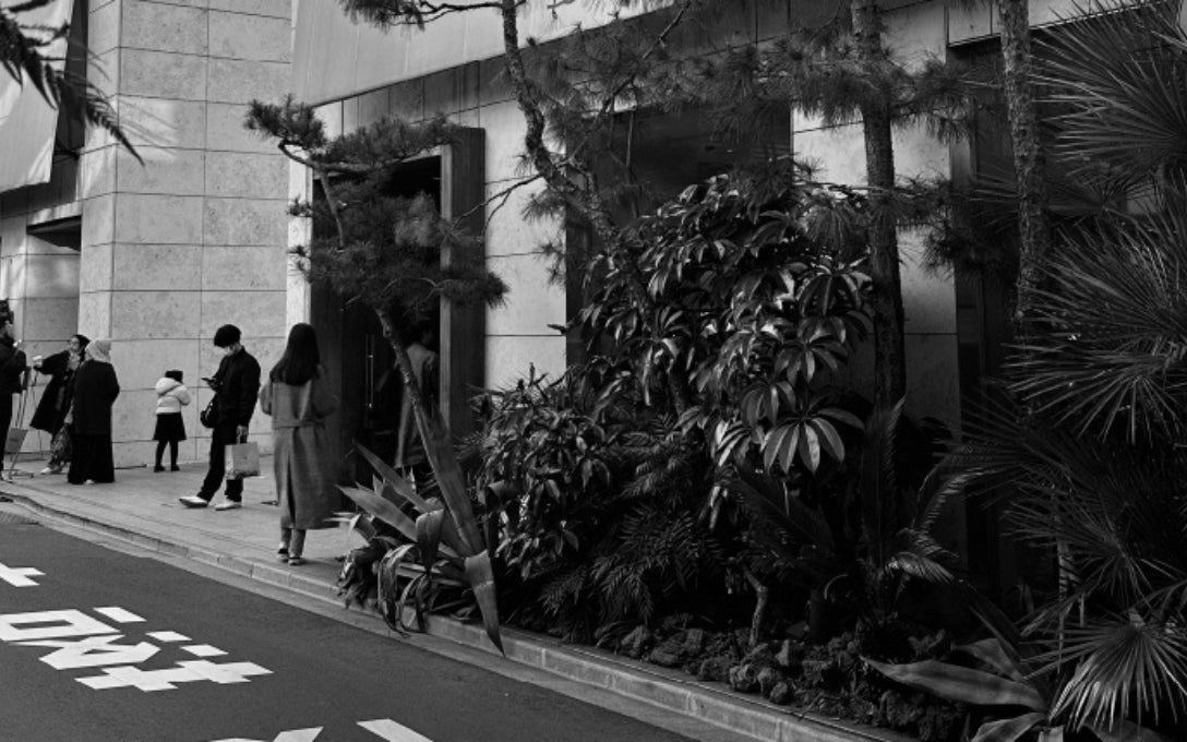 Inspo Series: Courtney's trip to Tokyo